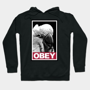 Obey the Cockatoo Hoodie